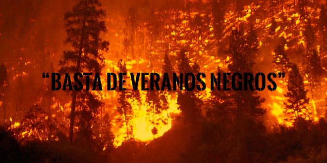 ¡Basta de veranos negros!: La campaña de WWF para poner fin a los incendios en España (Vea VIDEO)