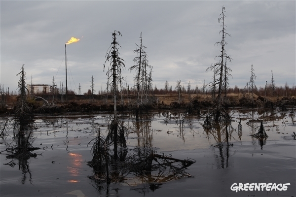 Las petroleras realizan vertidos incontrolados en las tierras de los pueblos indígenas de la República de Komi (Rusia)