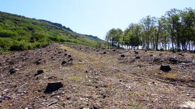 Siguen las políticas insensatas en el Parque Natural del Valle de Alcudia y Sierra Madrona