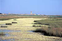 Proyecto humedales de la nava y boada