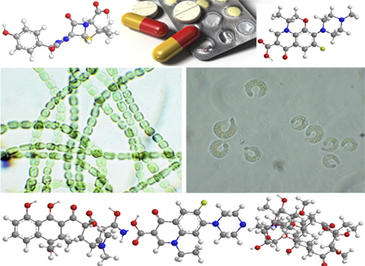 Los vertidos de antibióticos y el medio ambiente