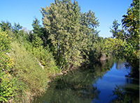 La Junta de Andalucía evalúa la situación ambiental de las zonas de baño de ríos