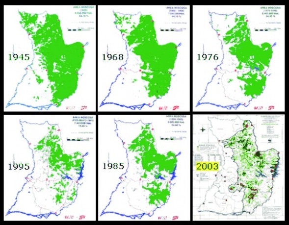 De cada 10 árboles que existían hace 58 años en la Región Oriental