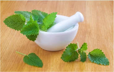 Una firma de Ecuador se asegura el abastecimiento de condimentos naturales incorporando a pequeños agricultores a su cadena de valor