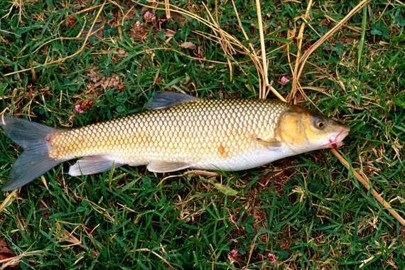 Crecen un 69% los expedientes sancionadores abiertos en Navarra