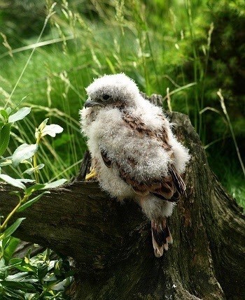 No te lo lleves contigo