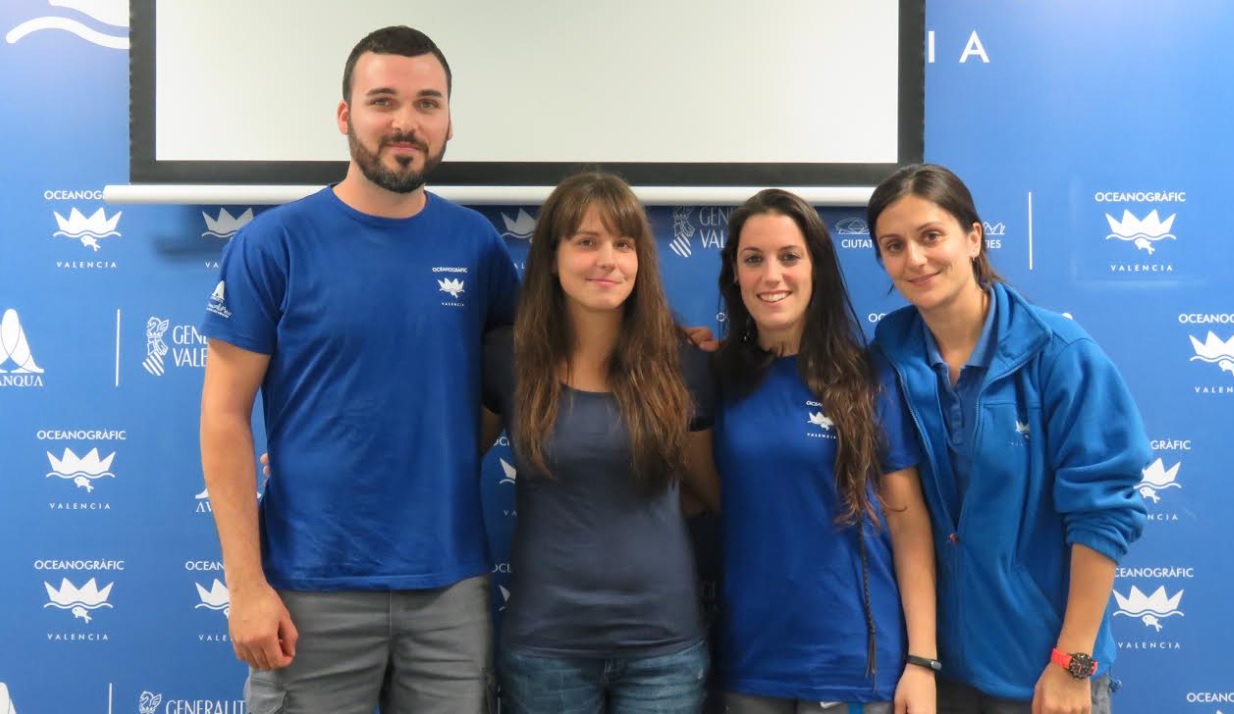 La Fundación Oceanogràfic investiga si las tortugas pueden distinguir los plásticos del alimento vivo