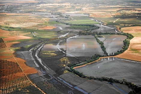 Aznalcóllar debe depender sí o sí del Consejo de Doñana