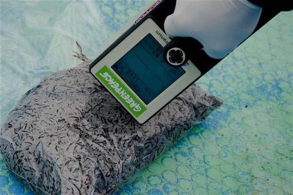 Greenpeace denuncia que la contaminación radiactiva de Fukushima se acumula en los ecosistemas marinos