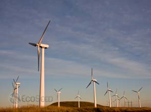 U.S. wind industry continues poor market performance in 2010