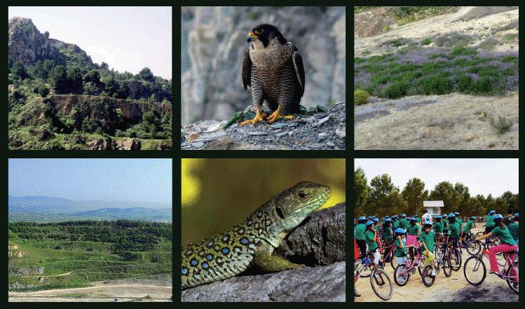 La Fundación CEMA ha publicado un Manual para la restauración de la biodiversidad en las canteras del sector cementero