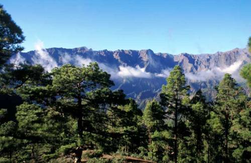 Canarias como destino sostenible