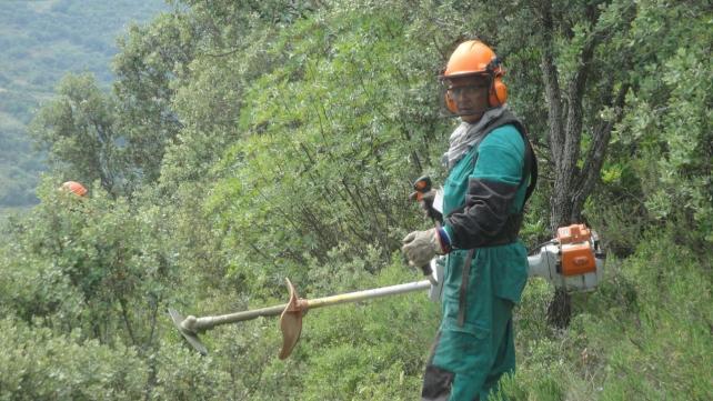 Endesa realiza trabajos de prevención de incendios en Andalucía
