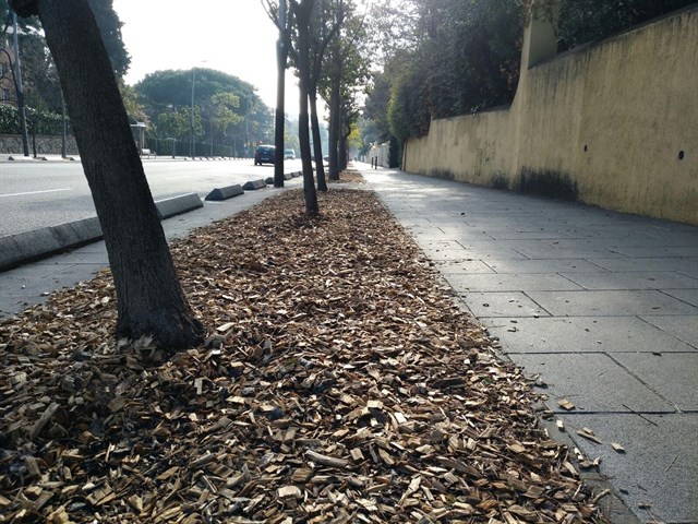 La Agencia Europea de Sustancias Químicas descarta que el glifosato sea cancerígeno