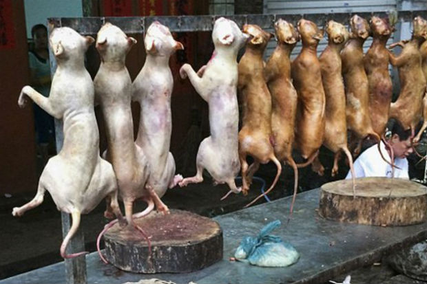 Yulin (China)