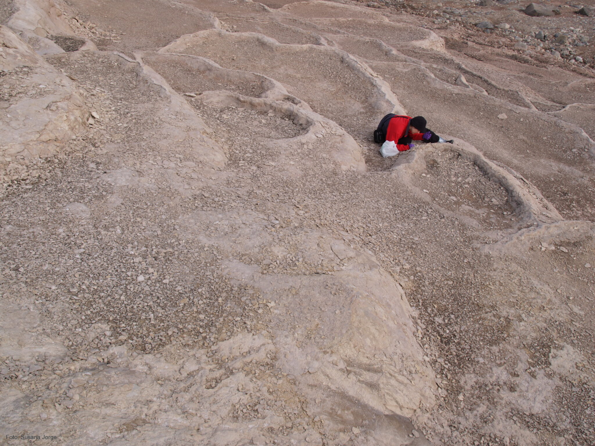 El estudio de organismos extremófilos servirá para identificar vida en Marte