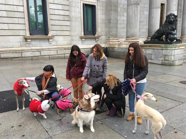 PACMA celebra la prohibición de mutilación a los perros y reclama una ley marco de protección animal