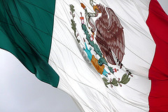 Denuncian el deterioro de tres principales recursos forestales mexicanos