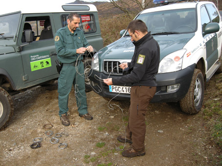 Otro oso muerto por la lacra de los lazos