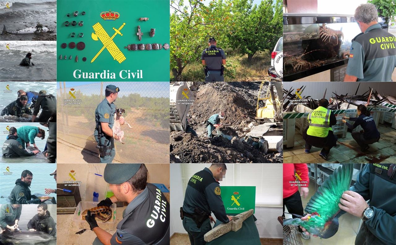 El SEPRONA ‘vital’ para la conservación del patrimonio natural de Murcia