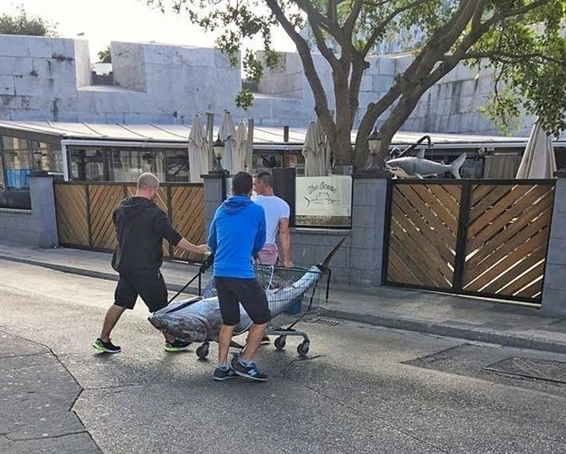 Verdemar señala "vulneraciones" en la cuota y en el periodo de veda de la pesca deportiva del atún rojo en el Estrecho