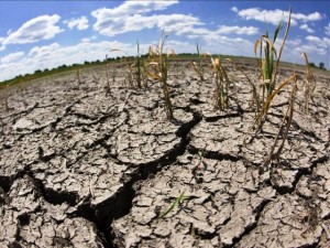 Estados Unidos quiere ‘paliar’ las sequias