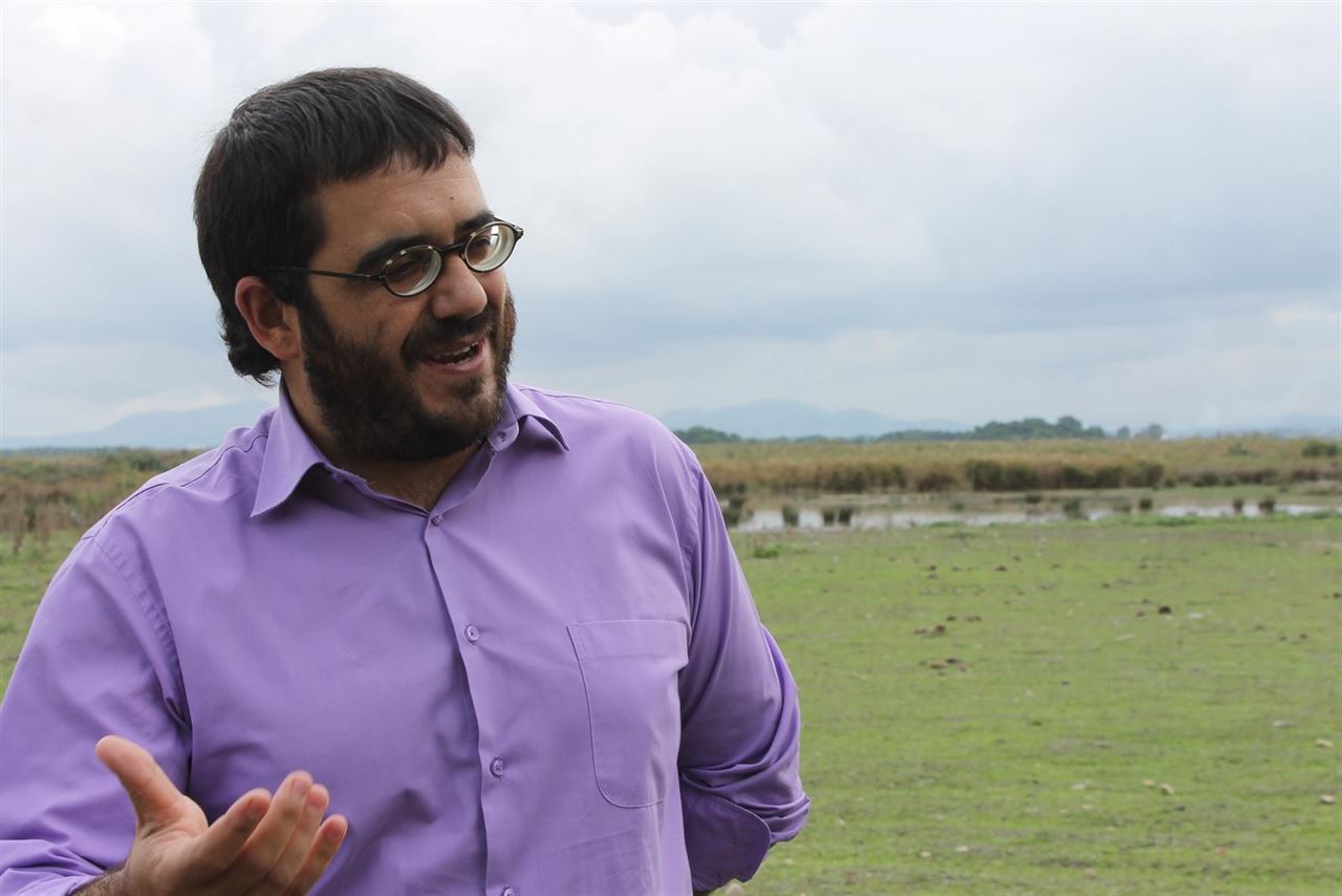 Baleares opina que el Estado no colabora lo suficiente en la creación del corredor migratorio de cetáceos