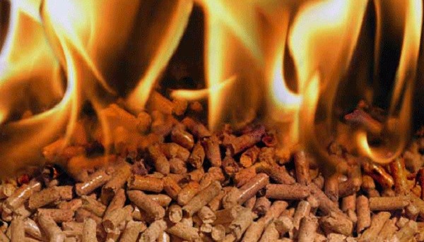 El Gobierno de Canarias ‘nunca’ autorizará la planta de biomasa en La Luz