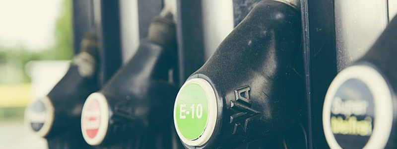 Biocombustible a partir de lirio acuático