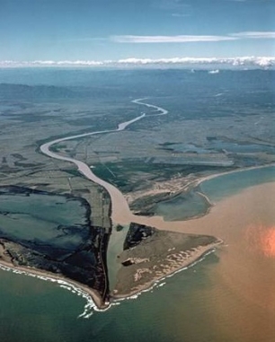 Medio Ambiente afirma que el caudal ecológico en Delta del Ebro es suficiente