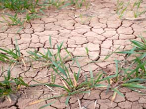 China invests $ 612 billion in water conservation projects