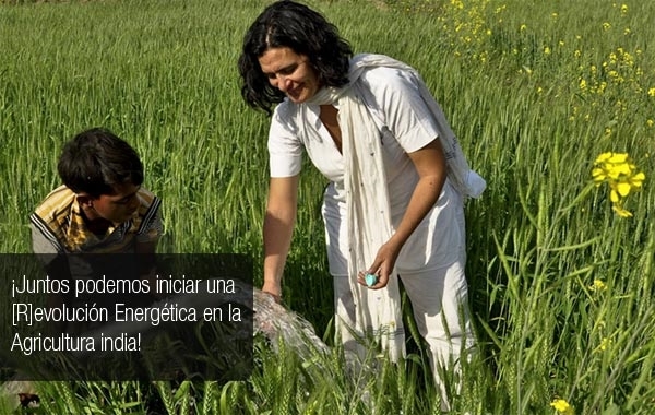 Te atreves a diseñar un sustituto para las bombas diésel de riego en la India