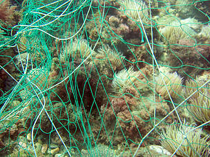 Fondos marinos libres de residuos para garantizar su conservación