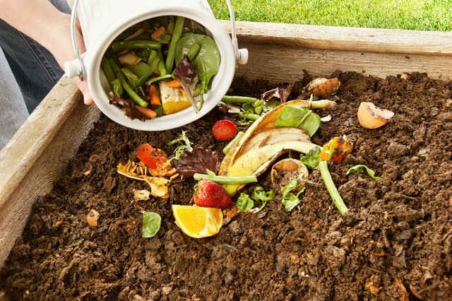 Mira el video de cómo hacer nuestro propio compost casero