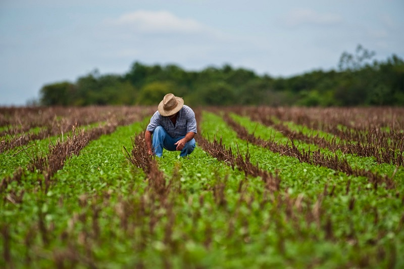 Medio Ambiente apuesta por fomentar la eficiencia y crear valor a través de la mejora de la sostenibilidad de la agricultura