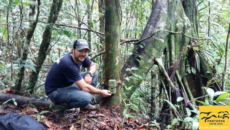 Pasión por los jaguares hace que tico gane reconocimiento internacional