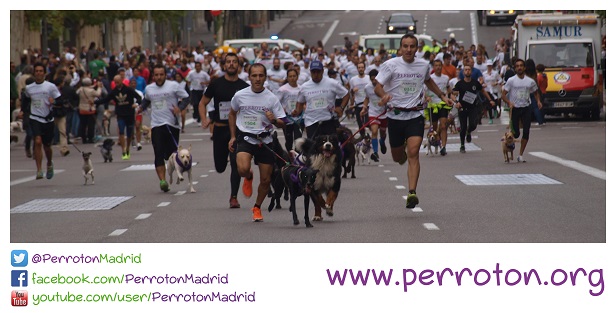 Yo me apunto Y tú Únete a Perrotón Madrid 2015