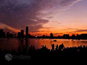 China’s 2010 energy consumption rose by 5.9 percent