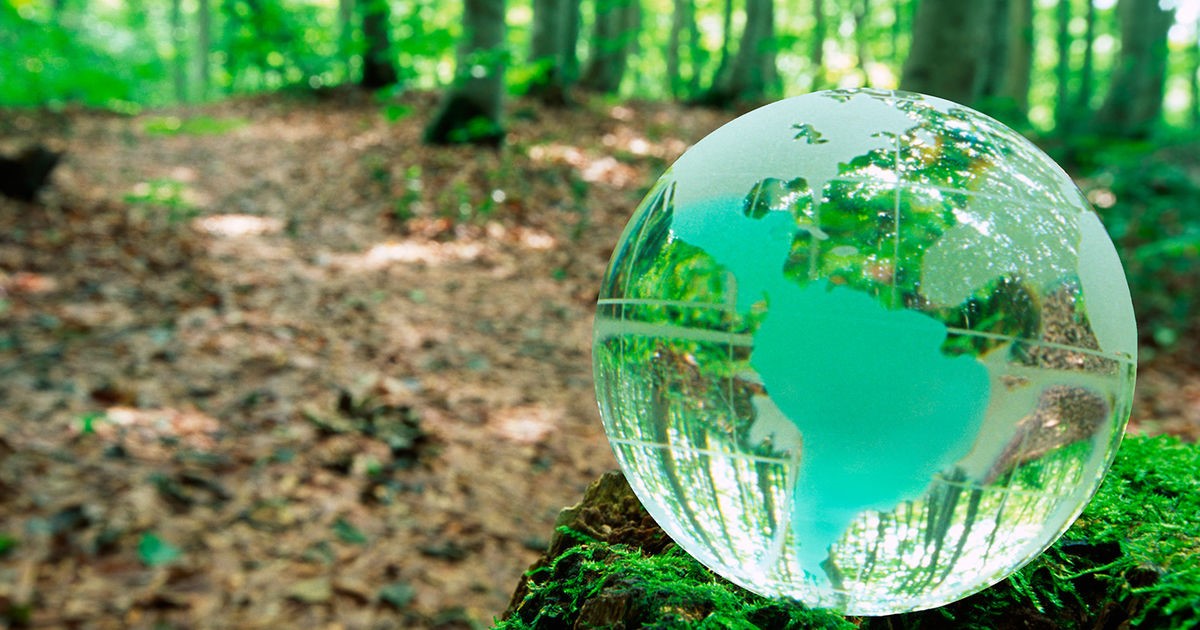 América Latina y los impuestos ambientales