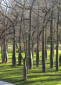 Al Ayuntamiento de Vitoria-Gasteiz presenta en Ataria su plan de acción para European Green Capital 2012