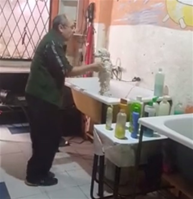 Bailando con perros (Vea VIDEO)