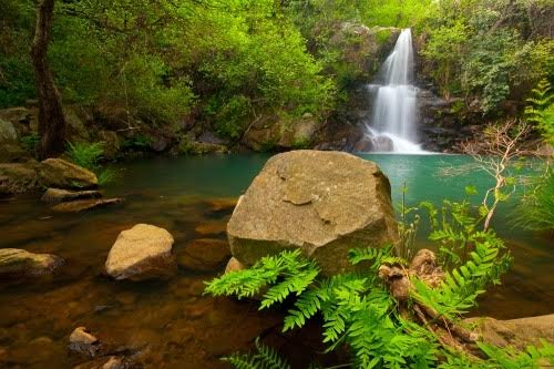 Casi 40 captaciones de agua ilegales en la Garganta del Capitán (Algeciras)