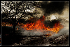 Controlado el incendio forestal de Sánsoain (Leoz) que ha arrasado monte bajo