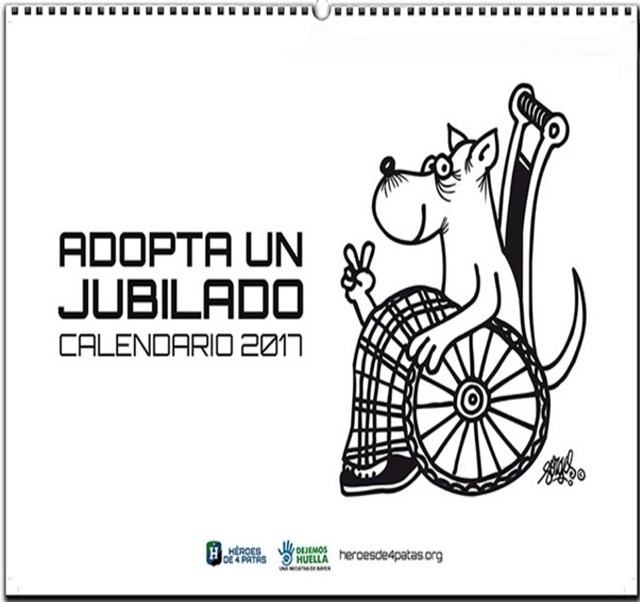 Campaña para adoptar perros ‘veteranos’