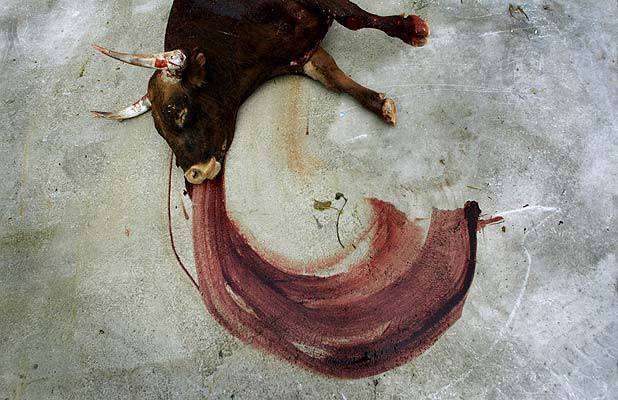 Patrimonio Cultural Inmaterial de la Humanidad