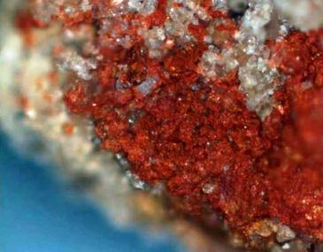 Los neandertales utilizaban ocres rojos hace ya 250.000 años