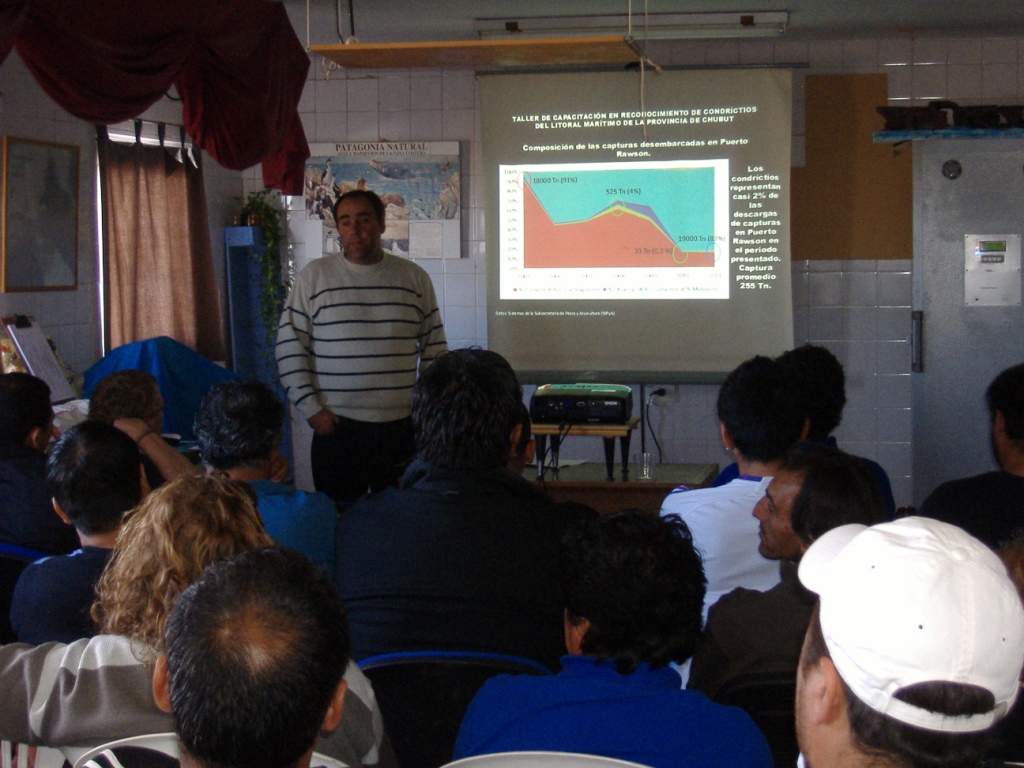 Patagonia. Se realizó un taller sobre reconocimiento de condrícticos del litoral marítimo de Chubut