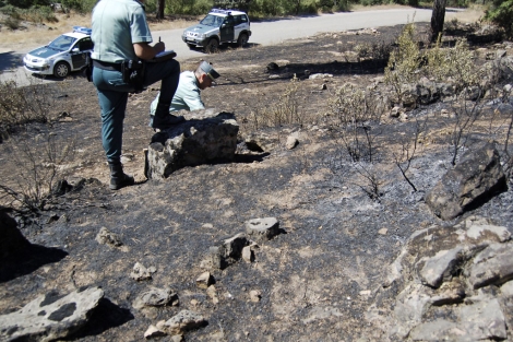 Dos años de cárcel para el ‘delincuente’ acusado de un fuego en la Sierra de Andújar