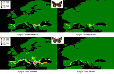 Especies similares pueden tener diferentes historias evolutivas