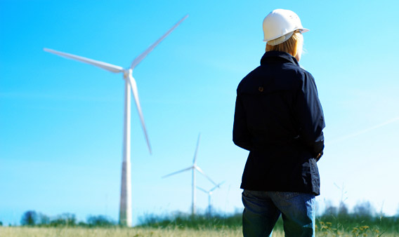 Empleo verde para superar la crisis